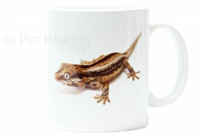 Kaffeebecher "Rhacodactylus auriculatus"